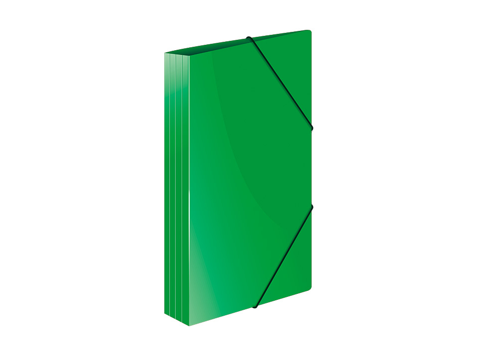 Папка на резинке Berlingo "Standard" А4, 600мкм, зеленая