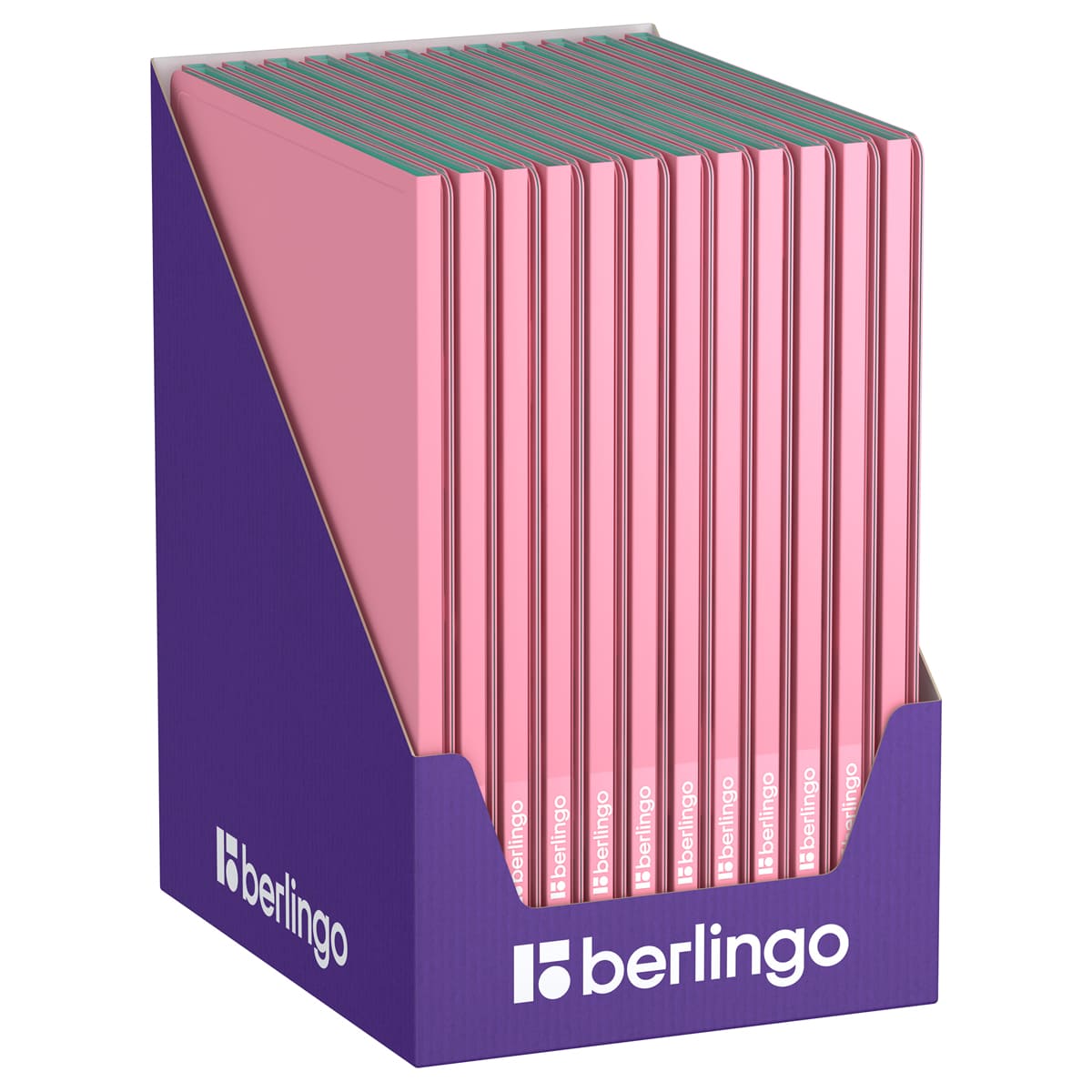 Папка с 10 вкладышами Berlingo "Haze", 9мм, 600мкм, с внутр. карманом, розовая, софт-тач
