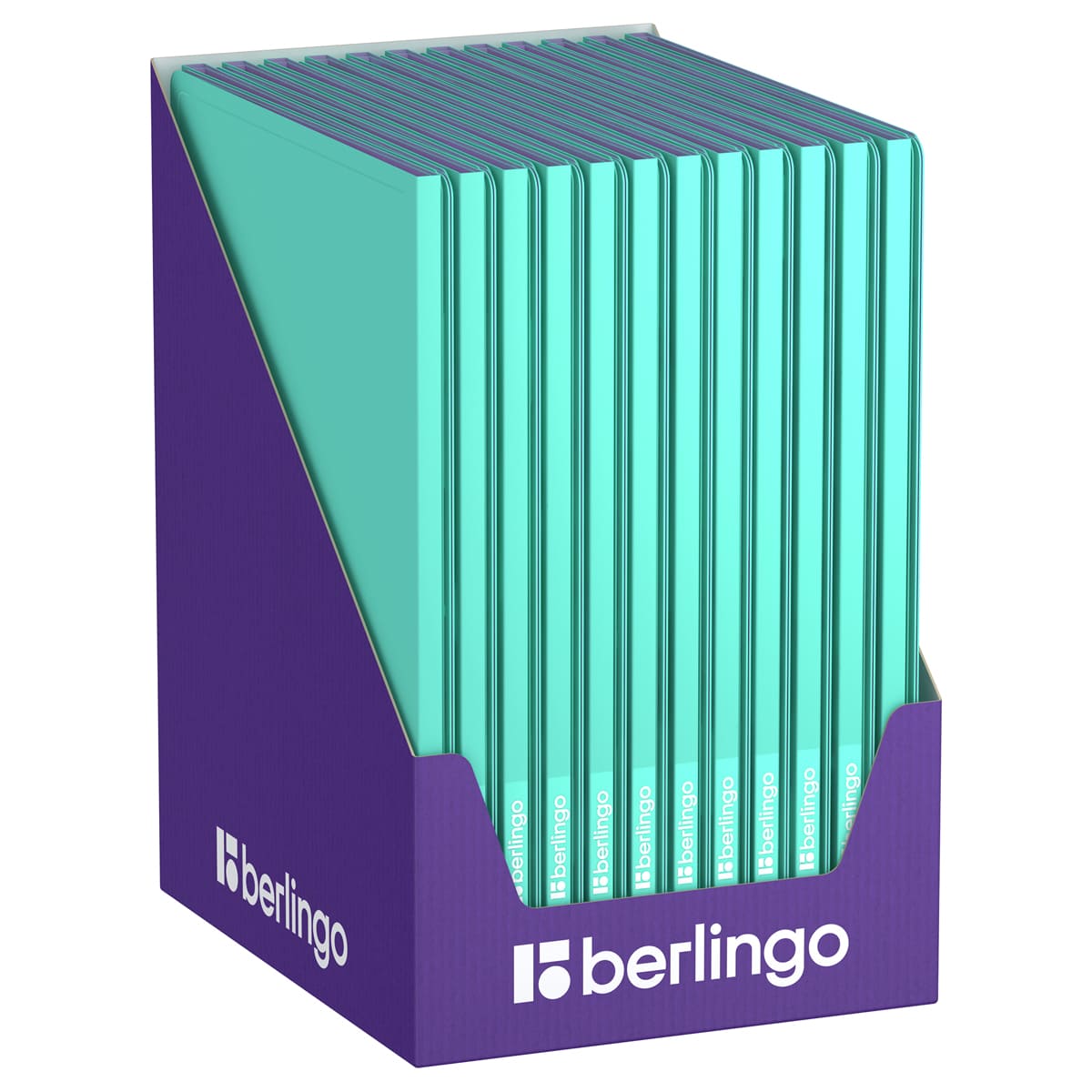 Папка с 10 вкладышами Berlingo "Haze", 9мм, 600мкм, с внутр. карманом, мятная, софт-тач
