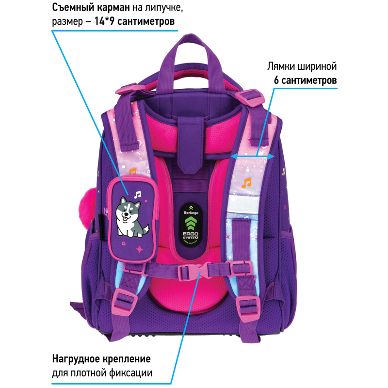 Ранец Berlingo Expert "Husky boy" 37*28*16см, 2 отделения, 2 кармана, анатомическая спинка