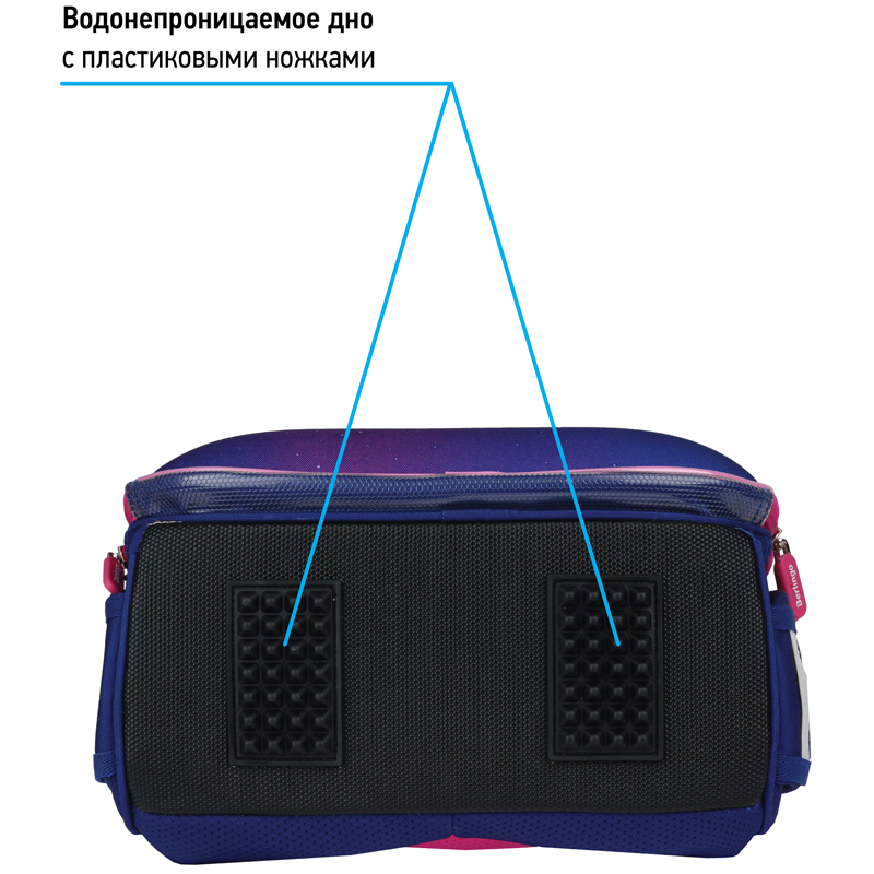 Ранец Berlingo Expert "Akita boy" 37*28*16см, 2 отделения, 2 кармана, анатомическая спинка